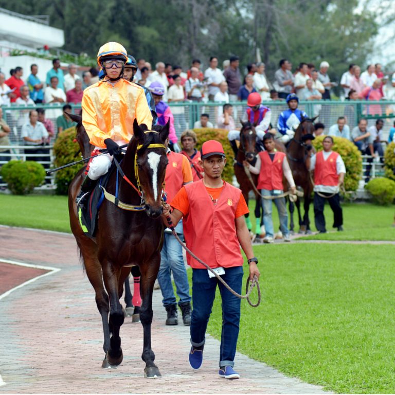 Raceday Information | Selangor Turf Club