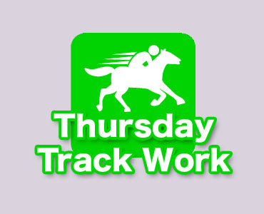 Thursday Trackwork Highlights  Selangor Turf Club