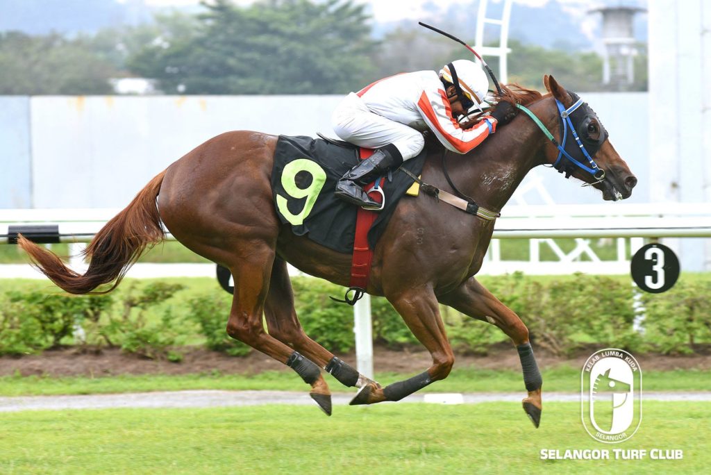 Tuesday Trackwork Highlights  Selangor Turf Club